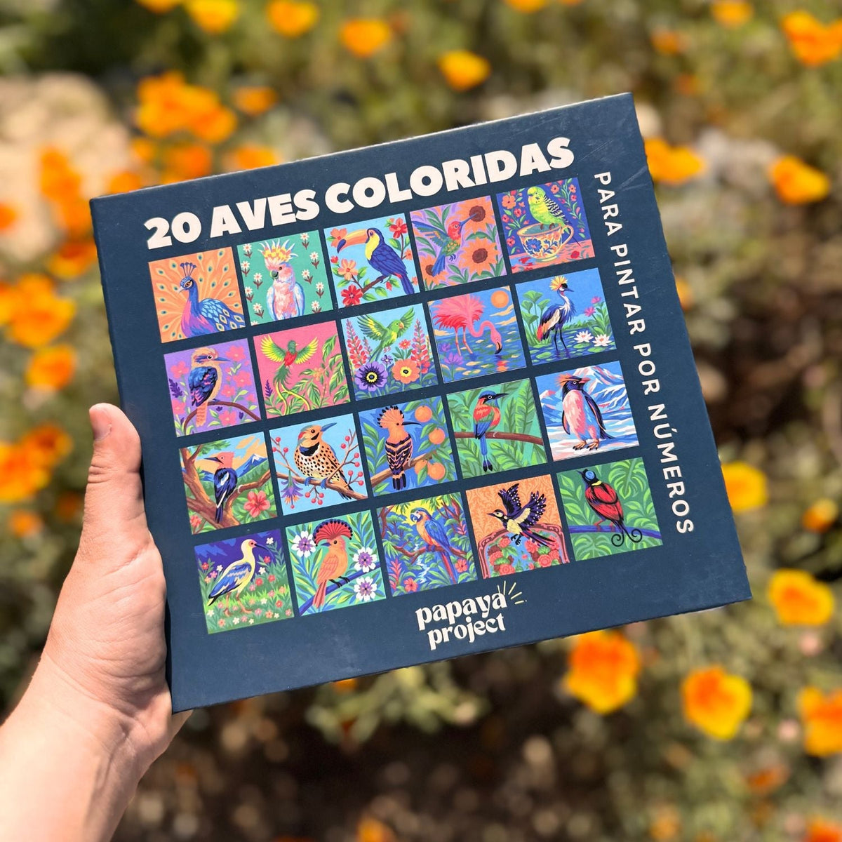 LIBRO 20 AVES COLORIDAS (Sin número 43 y 44)