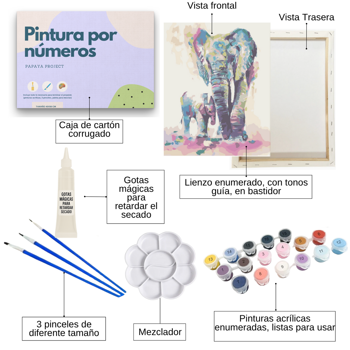 png_1500x1500_64990856