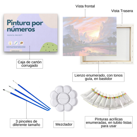 Pintura por números 40x50 Atardecer - En bastidor - Painting by numbers