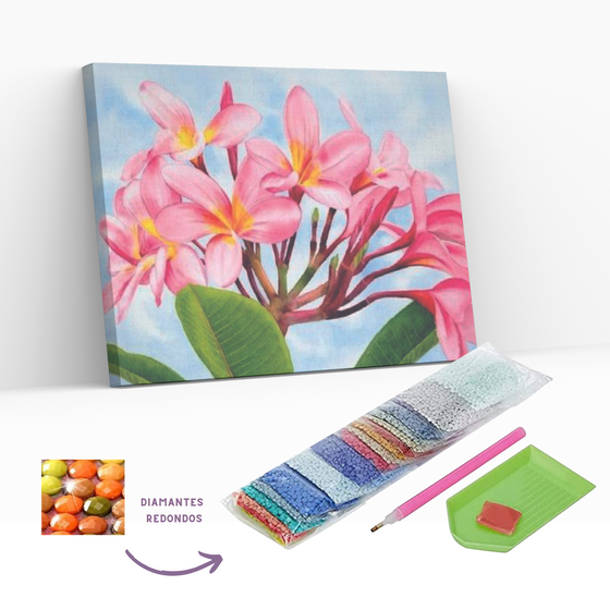 Diamond Painting Flor de Plumeria - Pintura Con Diamantes 40X50 Cm