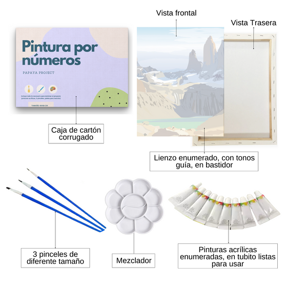 Pintura con números en bastidor 40x50- Torres del Paine - Painting by numbers