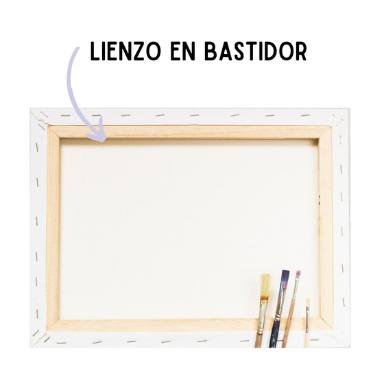 Pintura Por Números - En bastidor - Painting By Numbers