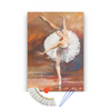 Pintura con números en bastidor 60x75 Ballet - Painting by numbers