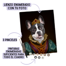  Pintura por números - REALEZA PELUDA PERSONALIZADO 40x50 cm
